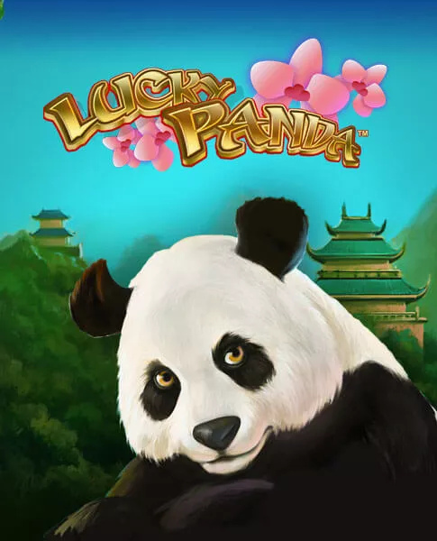 Lucky Panda Lucky Panda