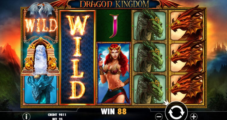 Stacked wilds slot