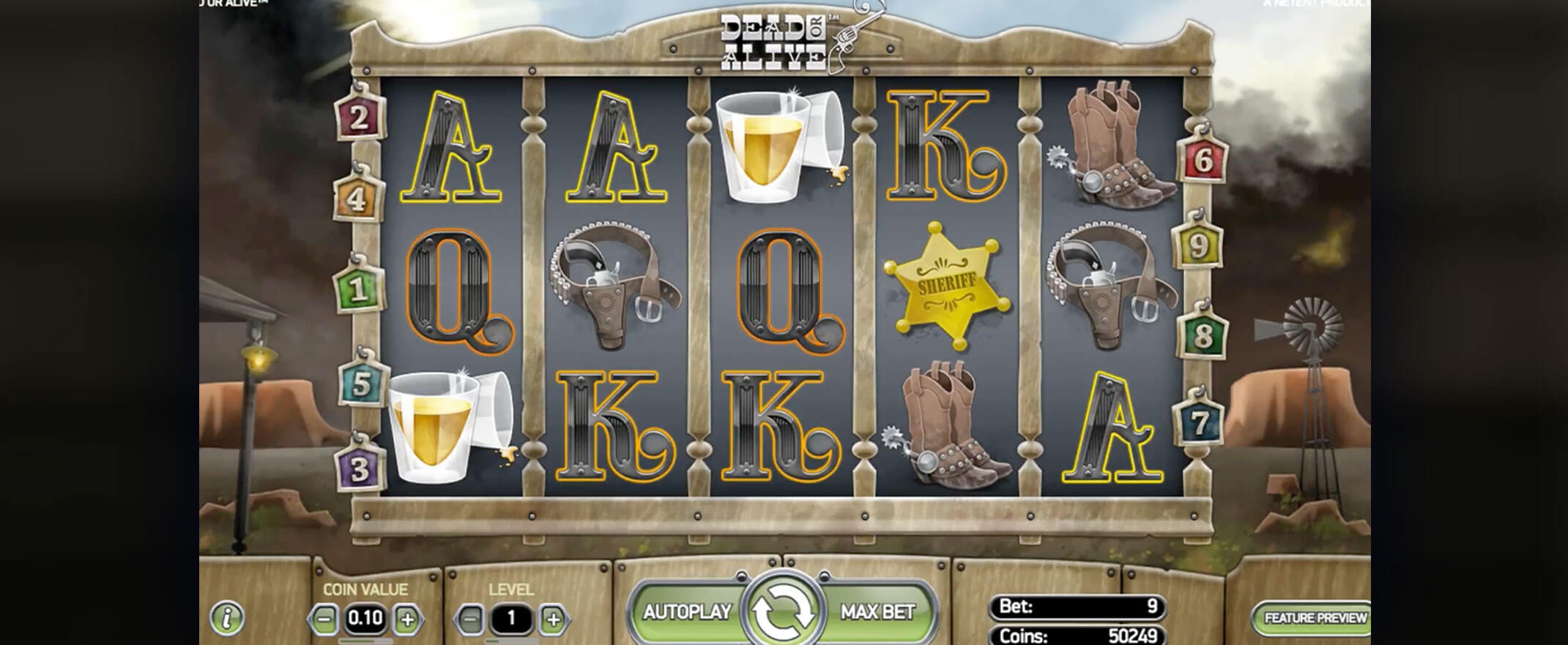 Dead or Alive slot from NetEnt