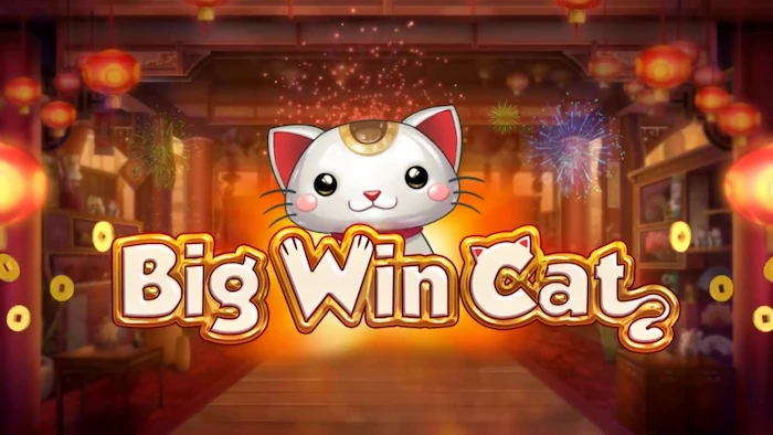 big win cat slot play n go