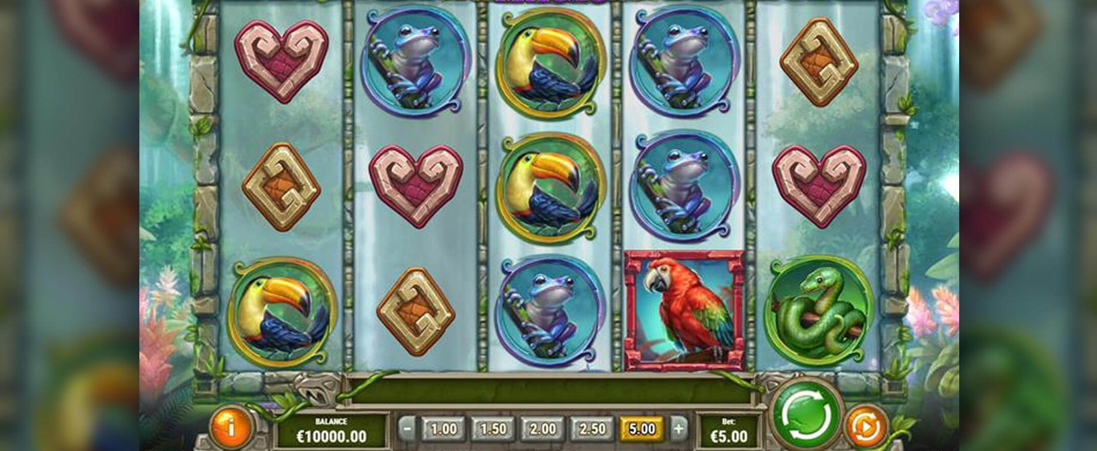 Rainforest Magic slot by Play'n Go