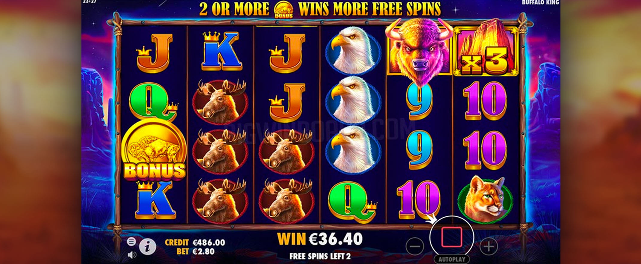 Buffalo King Spielautomat spielen