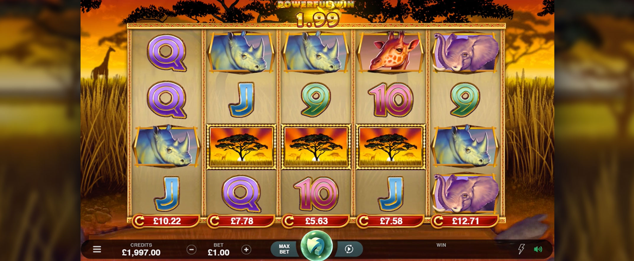 African Quest