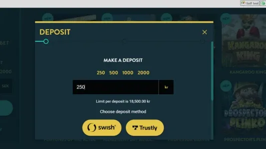 Registreringsfält i mörkblå färg och gula knappar hos No Account Bet Casino