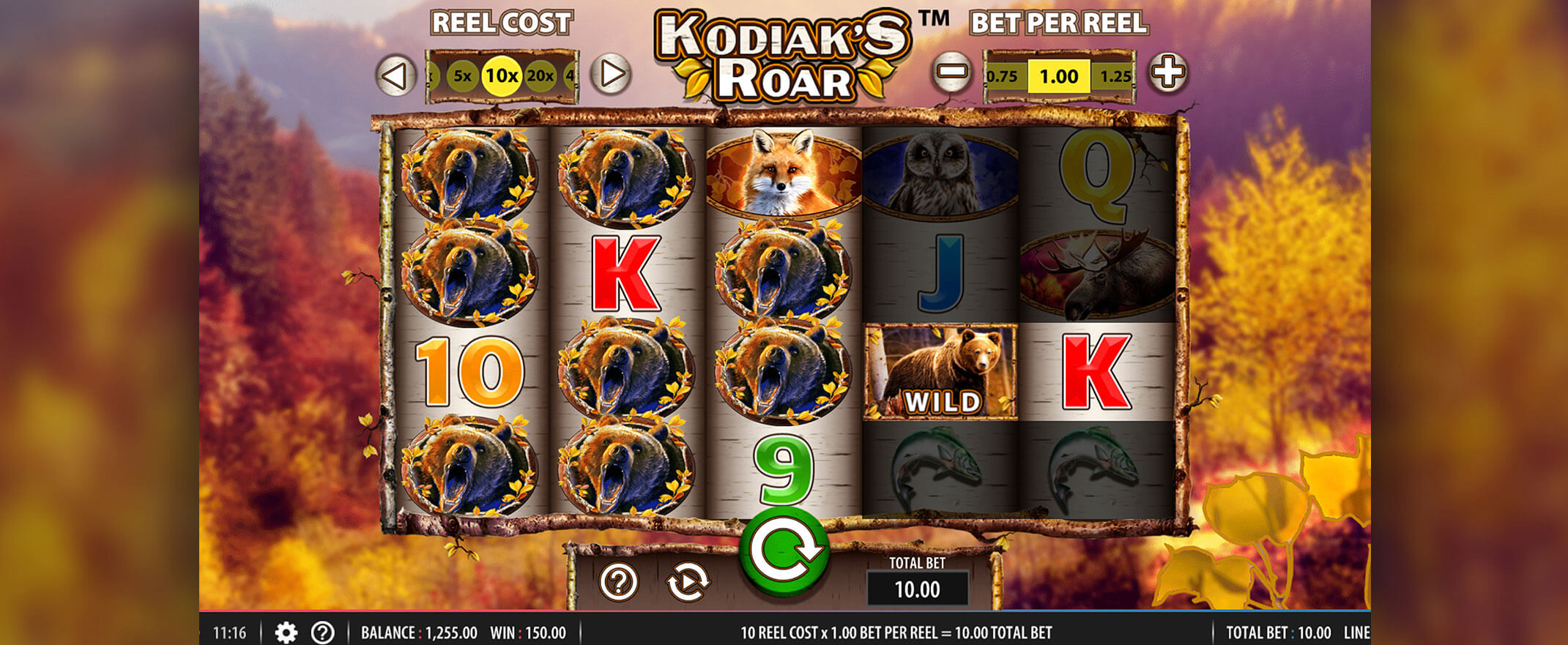 Kodiak’s Roar Spielautomaten Bewertung