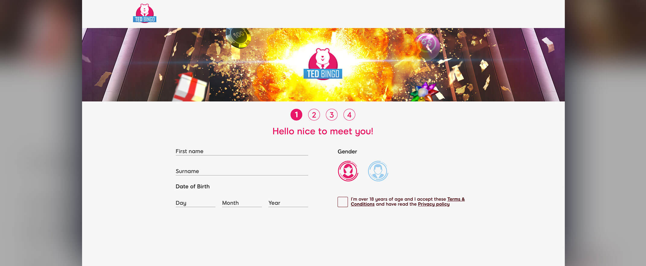 Ted Bingo Registration screenshot #ad