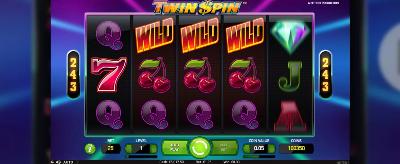 Twin Spin slot screenshot of the feature