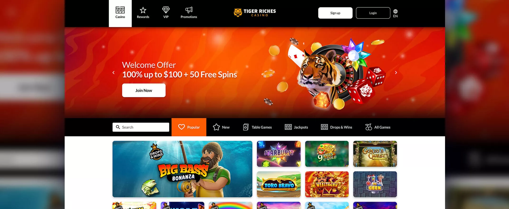 Tiger Riches screenshot of the homepage