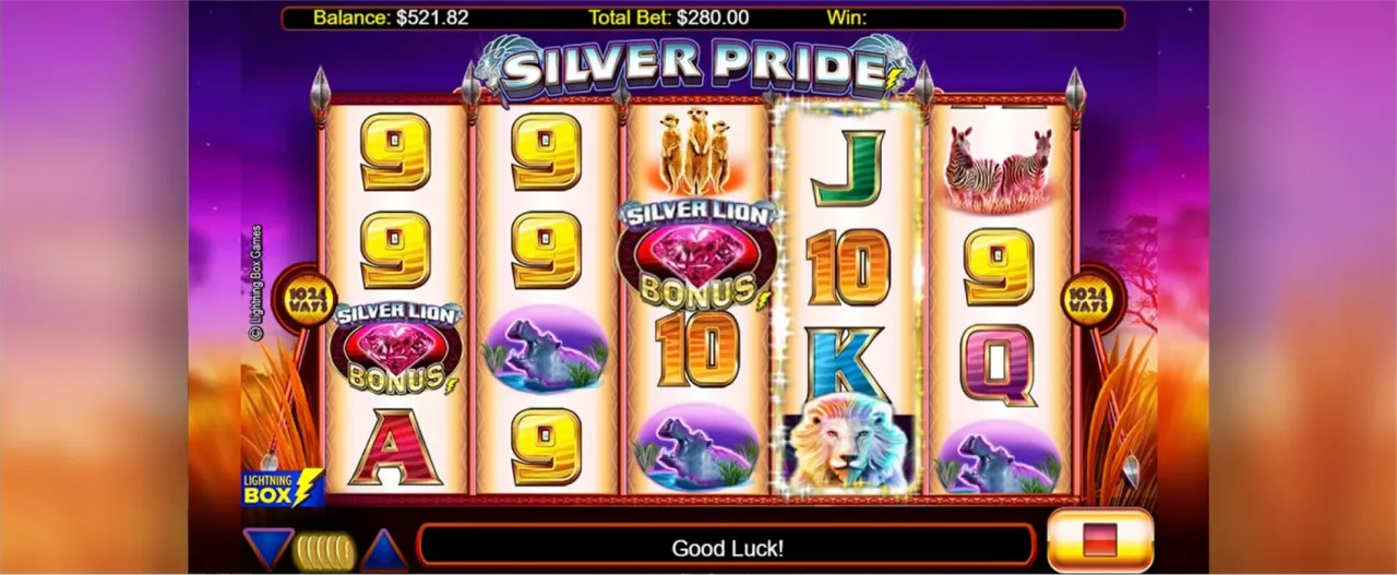 Silver Pride
