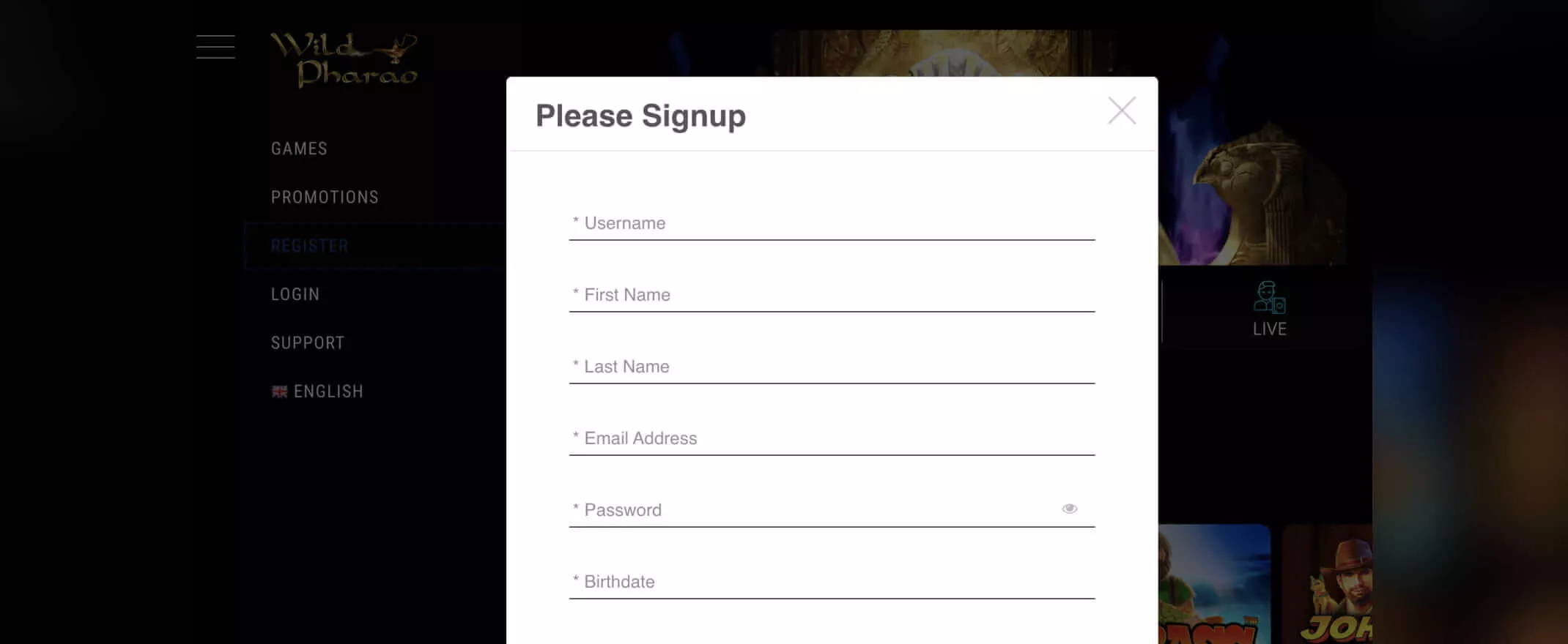 Wild Pharao screenshot of the registration