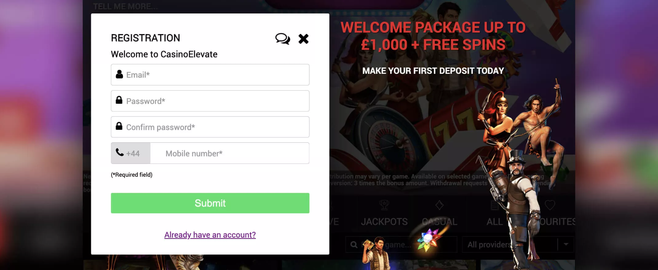 Elevate Casino screenshot of registration