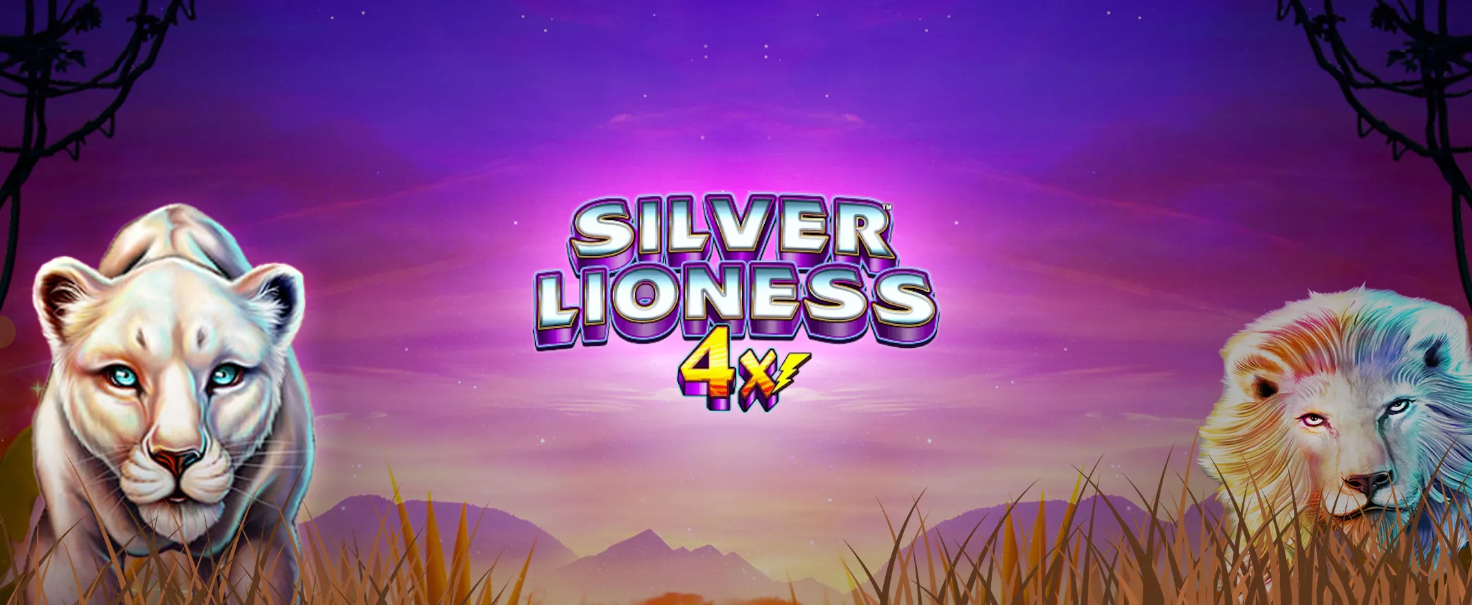 Lightning Box nyeste Silver Lioness4x