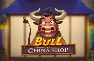Bull in a China Shop logo