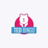 Logo image for Ted Bingo