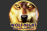 Wolf Night