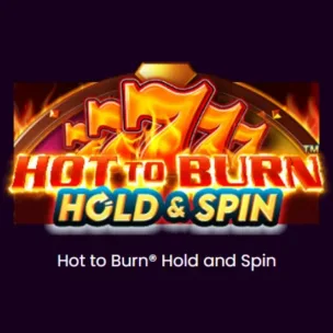 Hot To Burn Hold Spin logo