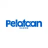 Logo image for Pelataan Casino