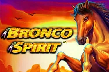 Bronco Spirit