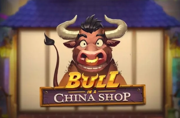 Bull in a China Shop logo