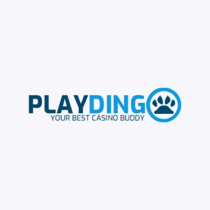 Logo image for Playdingo