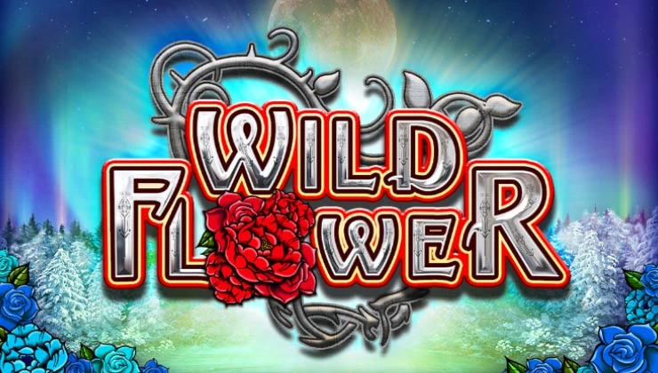Wild Flower Wild Flower