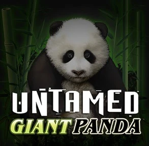 Untamed Giant Panda Untamed Giant Panda