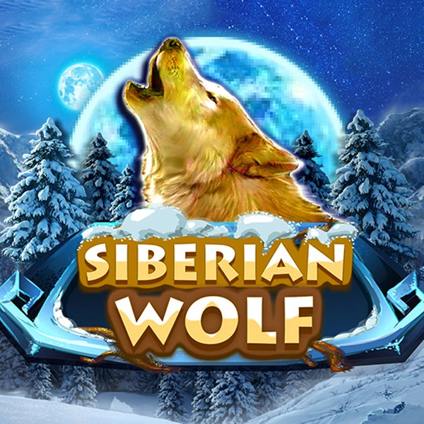 Lobo Siberiano Lobo Siberiano