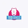 Logo image for Ted Bingo