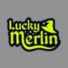 Image for Lucky merlin