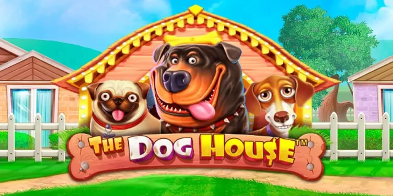 the dog house