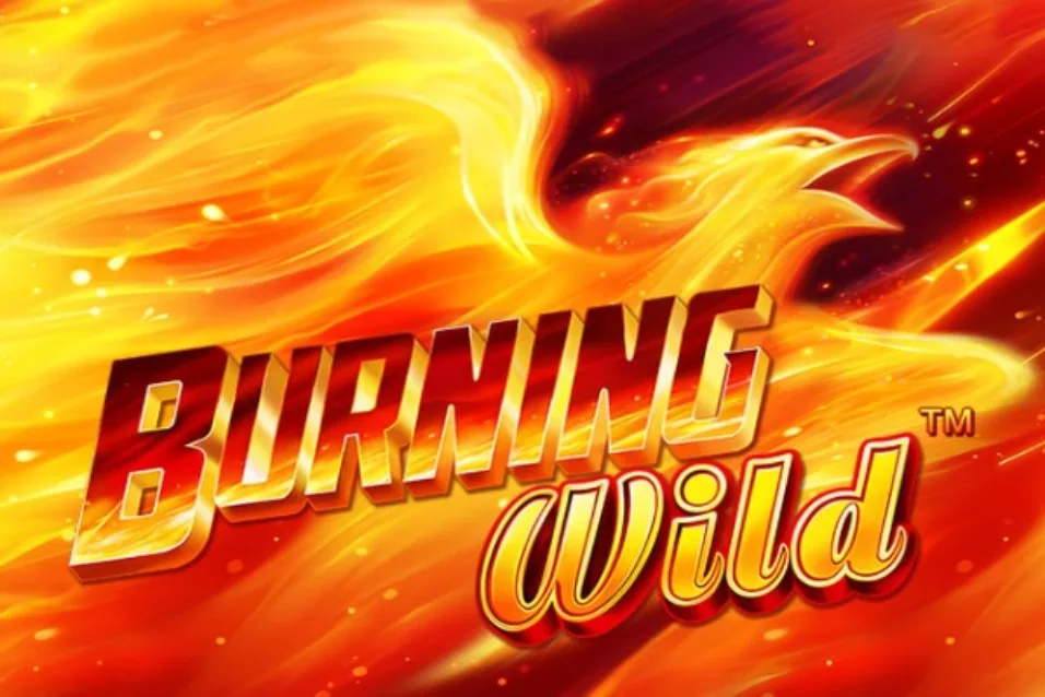 Burning wild Logo image for Burning wild