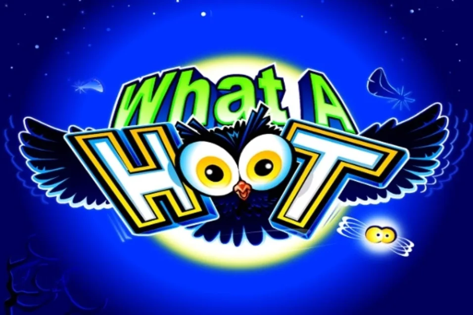 What a hoot Logo image for What a hoot