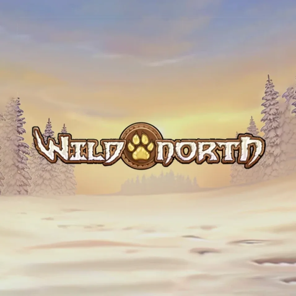 Wild North logo Logo image for Wild North